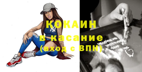 молекула духа Арсеньев