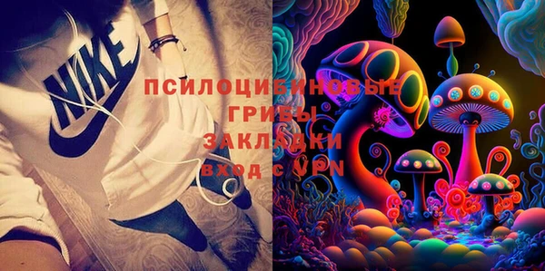молекула духа Арсеньев