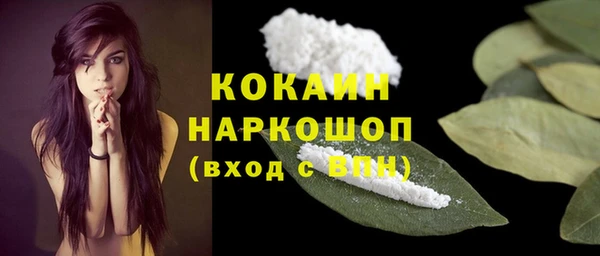 молекула духа Арсеньев