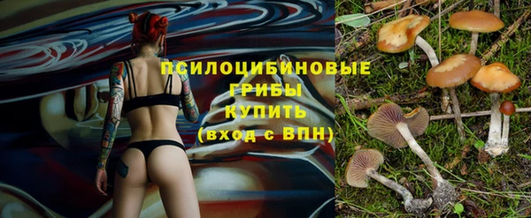 молекула духа Арсеньев