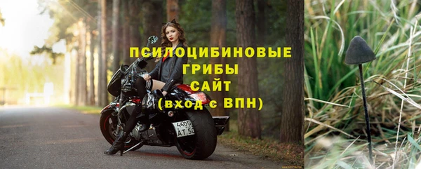 молекула духа Арсеньев
