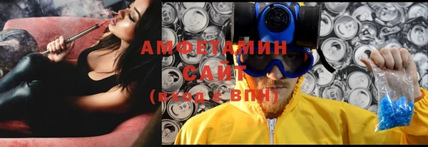 молекула духа Арсеньев